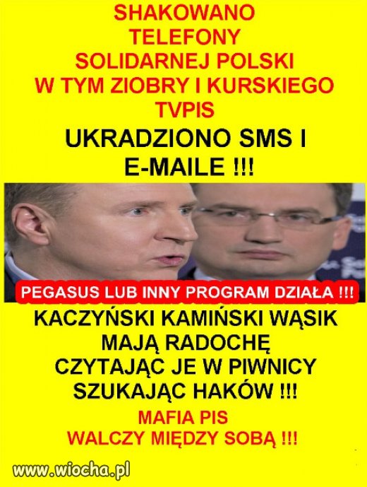 Pozdrawiam patologiczny elektorat patologicznej partii i rzadu