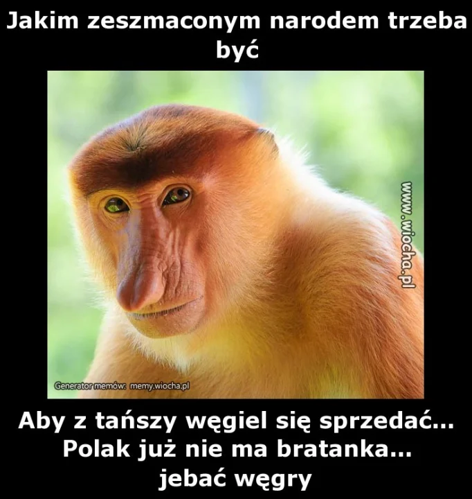 Jakim zeszmaconym narodem trzeba być