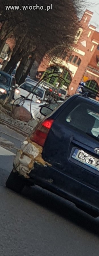 I cyk Polak potrafi