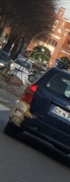 I cyk Polak potrafi