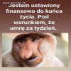 Po decyzji 