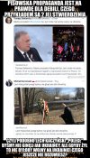 Takie tak pisowskie debilizmy