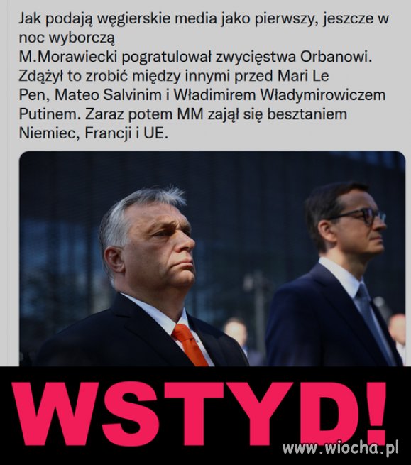 Zakłamany Pinokio
