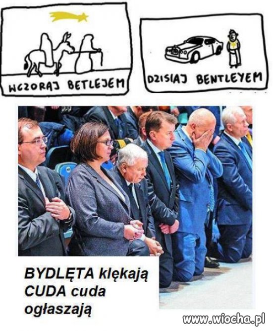 "Bydlęta klękają, cuda, cuda ogłaszają" ...