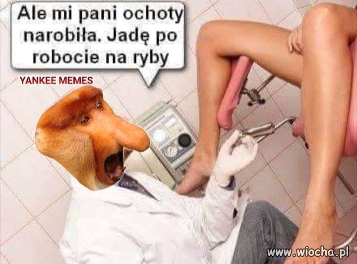 Wilgoć jest