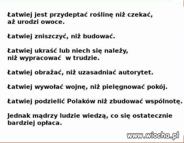 Nic dodać nic ująć! 