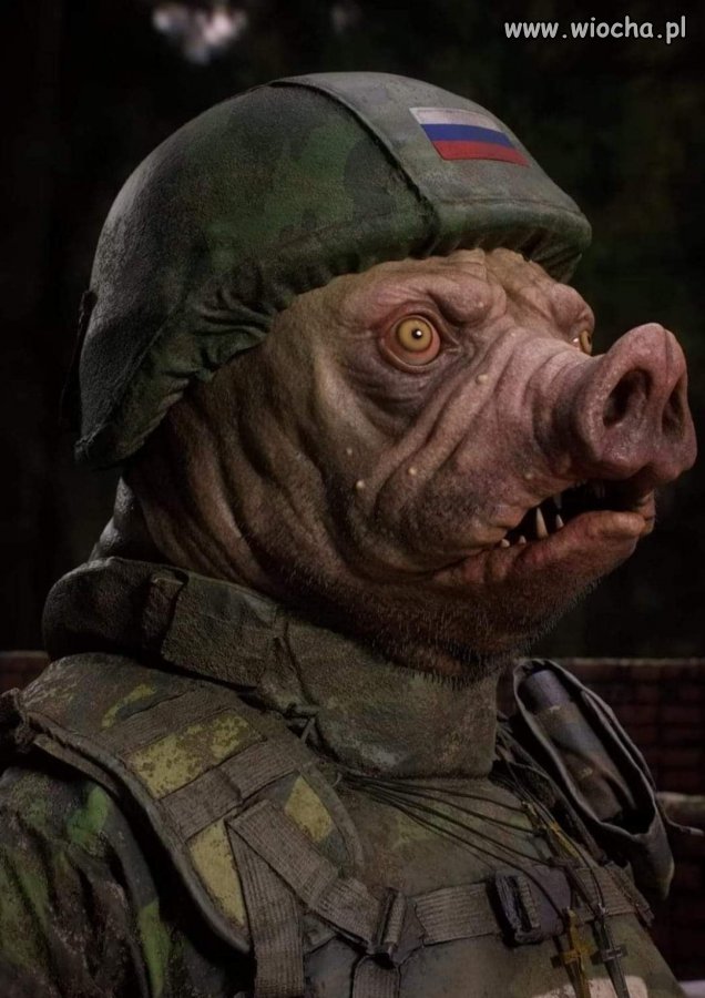 Nic dodać, nic ująć ...