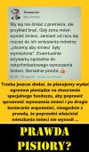 Dokładnie tak wygląda taktyka Pinokia!