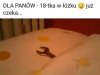 Dziewczyna chłopaka z samochodówki