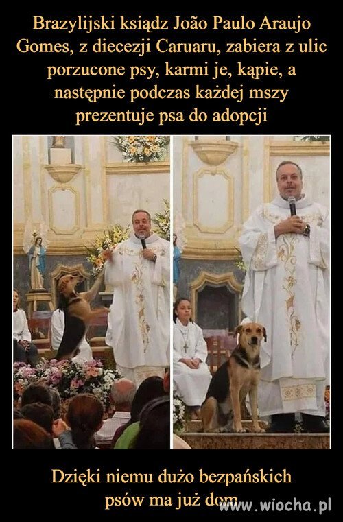 Wg mnie to świetny pomysł!