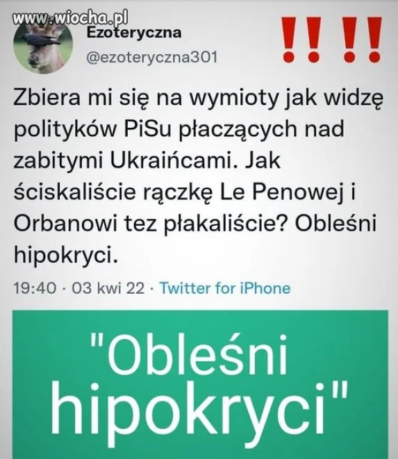 Hipokryci