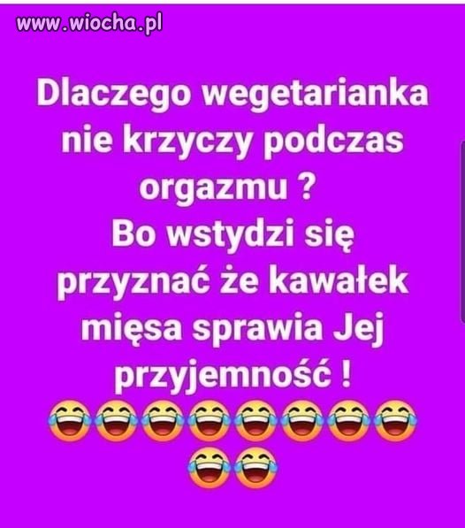 Hipokrytka