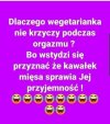 Hipokrytka