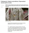 Klechy wszędzie się panoszą jak "święte krowy"