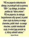 Nic dodać nic ująć. Szczera prawda...