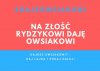 Jestem i będę z Orkiestrą 