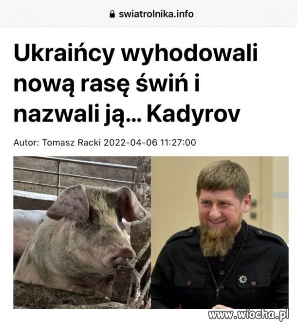 Trochę humoru z Ukrainy