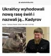 Trochę humoru z Ukrainy