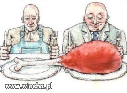 Naród i świnie przy korycie.