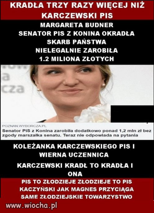Kaczyński - do władzy nie idzie się po pieniądze - OKŁAMAŁ 