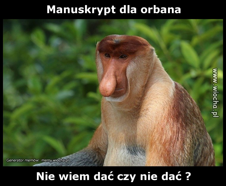 Manuskrypt dla orbana