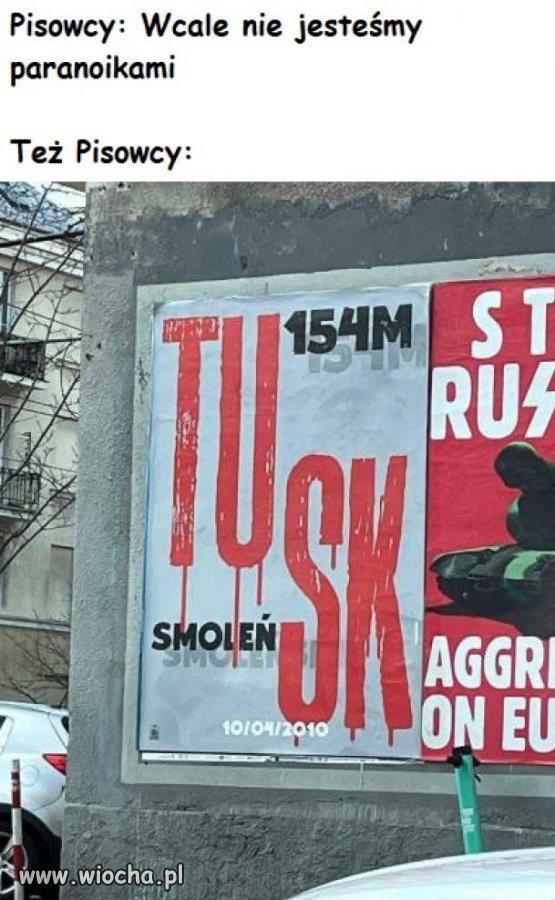 Niech ich w końcu ktoś zamknie w wariatkowie