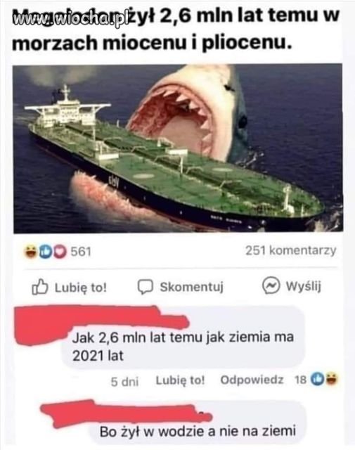 No właśnie