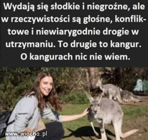 Ciekawe, ciekawe 