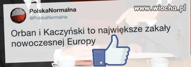 Zgadzacie się z tą opinią? 
