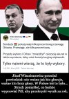 Tylko naiwny uwierzy 