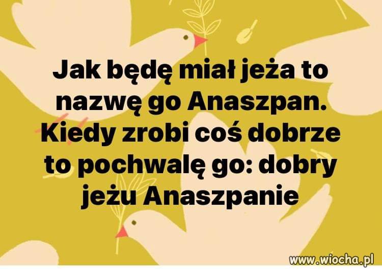 Jeż Anaszpan