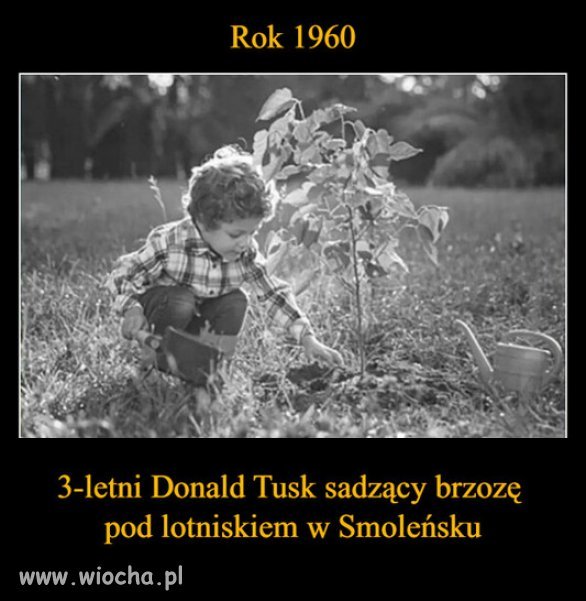 Kaczyński i Macierewicz, mają nowe dowody...