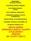 PiS to partia złodziei, oszustów i kłamców!