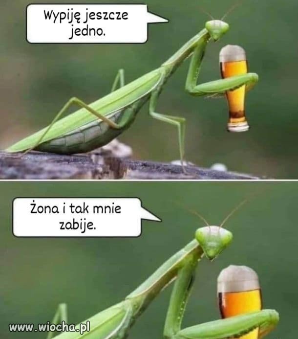 Jedno w tą czy w tamtą