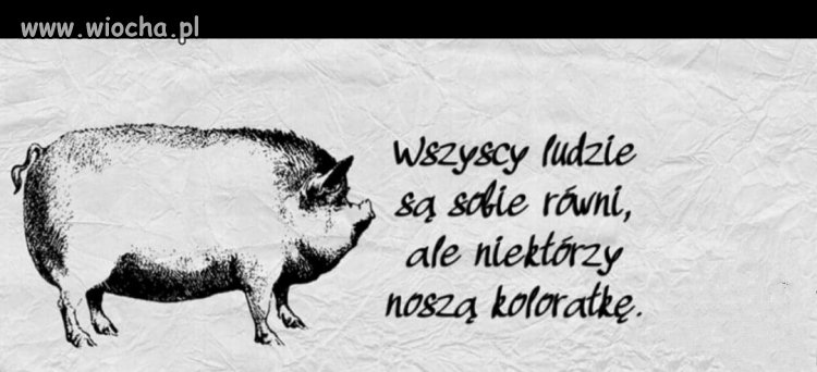 Pouczają i piętnują innych
