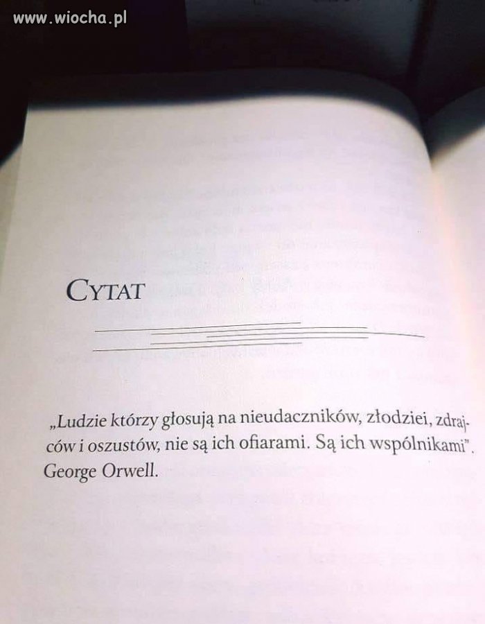 Cytat 