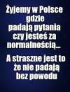 Przeglądając memy