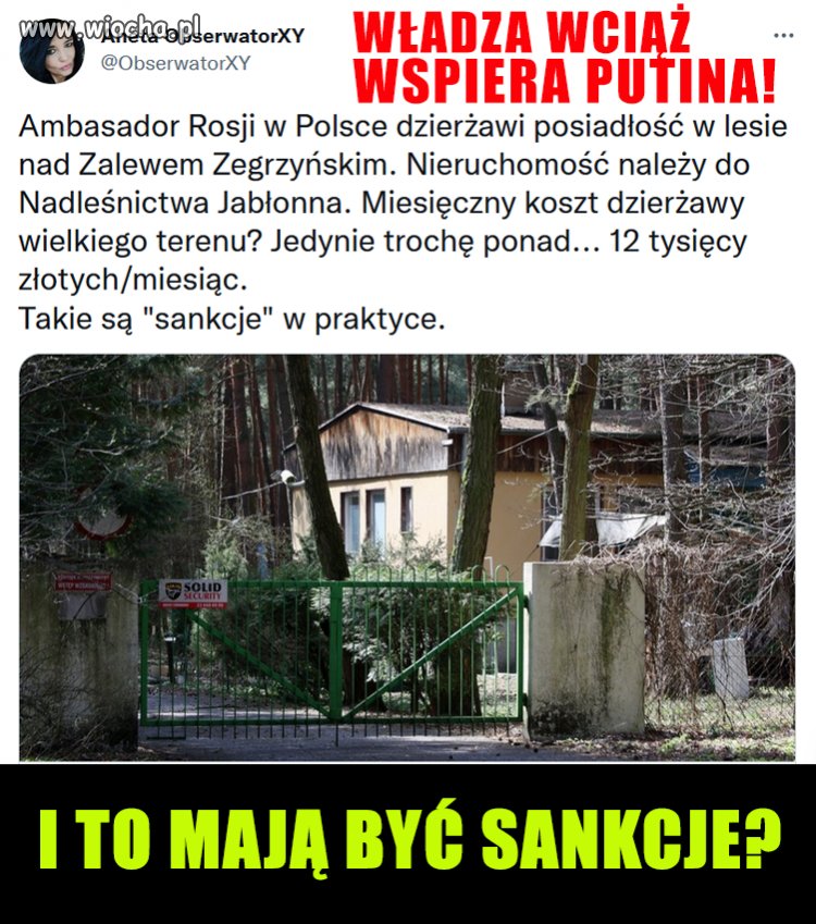 Następny... kwiatek