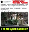 Następny... kwiatek