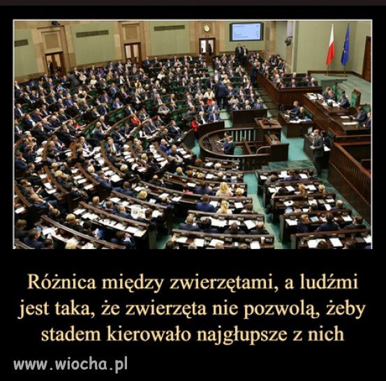 Ale w Polsce można...