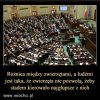 Ale w Polsce można...