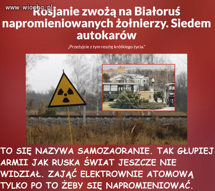 Głupota to mało powiedziane