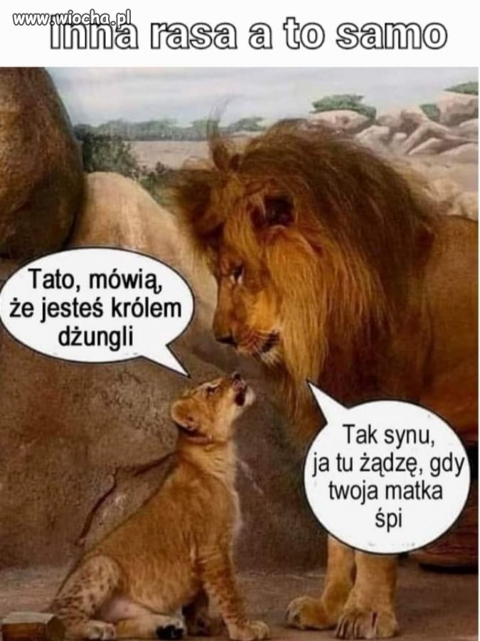 Tylko nie mów