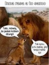Tylko nie mów