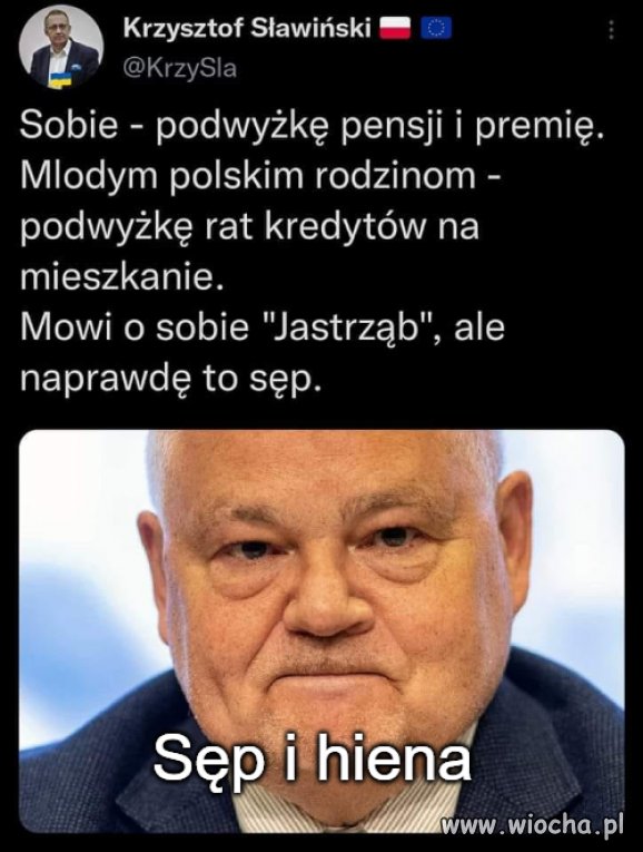 Sęp i hiena, nie jastrząb 