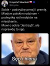 Sęp i hiena, nie jastrząb 