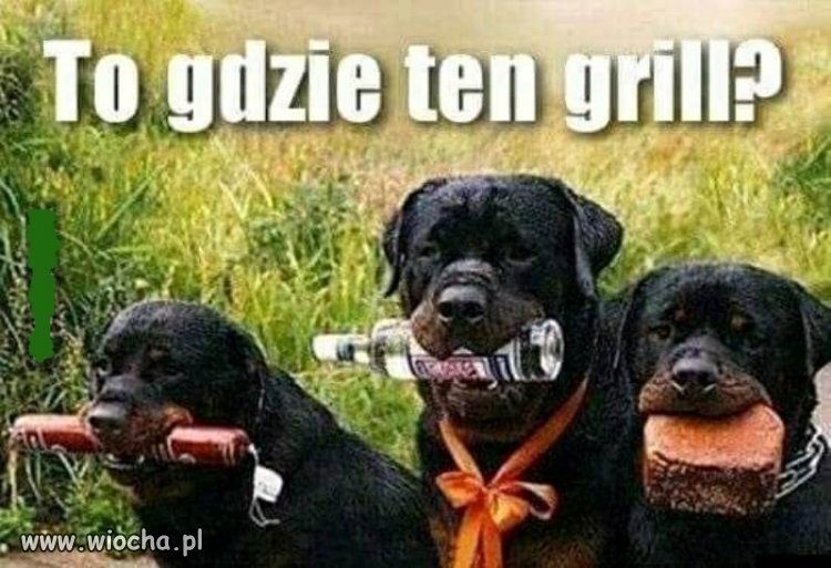 Takich gości