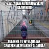 W Krakowie potrafią zadbać o zabawę dla dzieci 