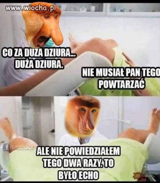 Echo jak 