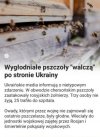 Nawet pszczoły